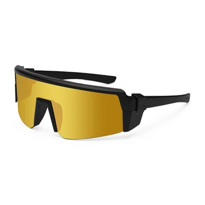 Z87 POLARED PSGLASSES